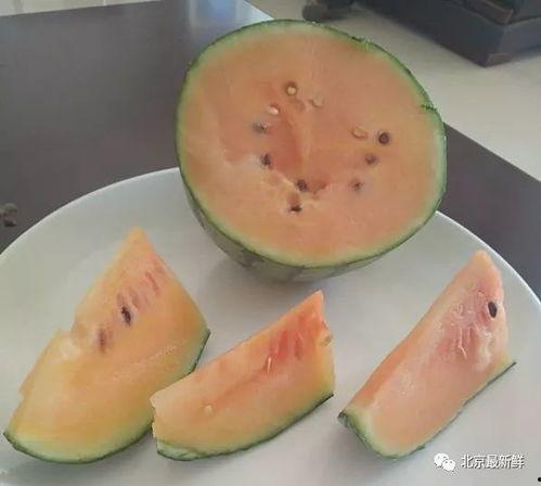 吃瓜的夏天,炎炎夏日，尽享清凉美味  第2张